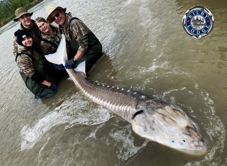 Kilby Lodge – Sturgeon Adventures